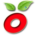 favicon favicon