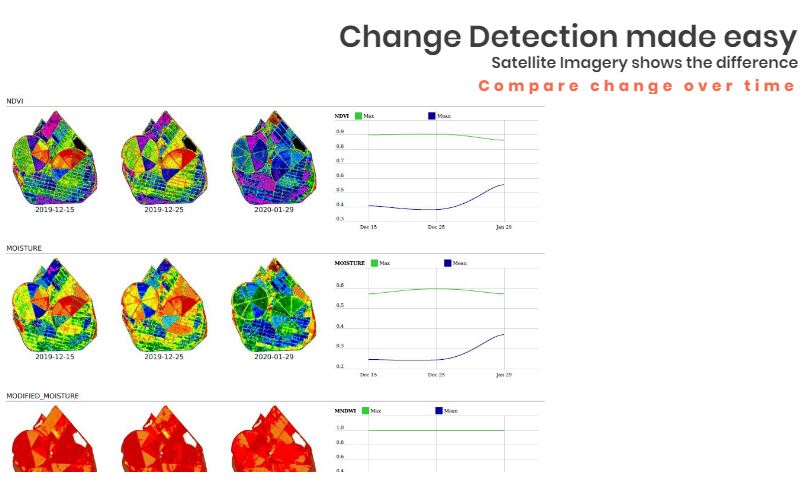 Vegetation Change Detection Vegetation Change Detection