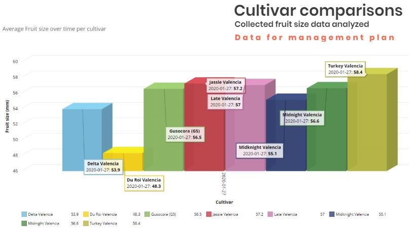 Cultivar comparisons Cultivar comparisons