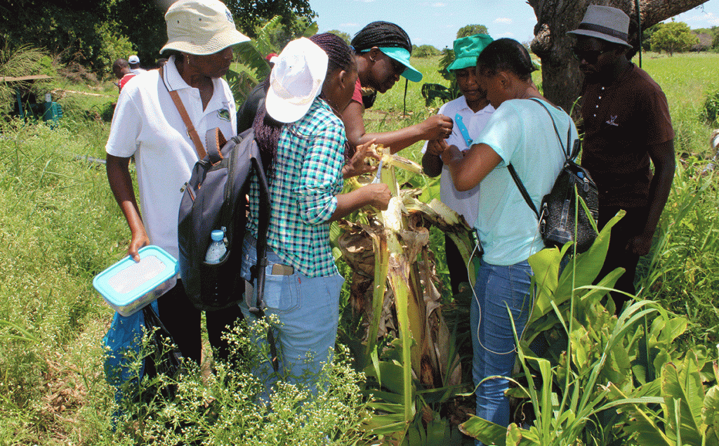 Field-Training-1 Field-Training-1