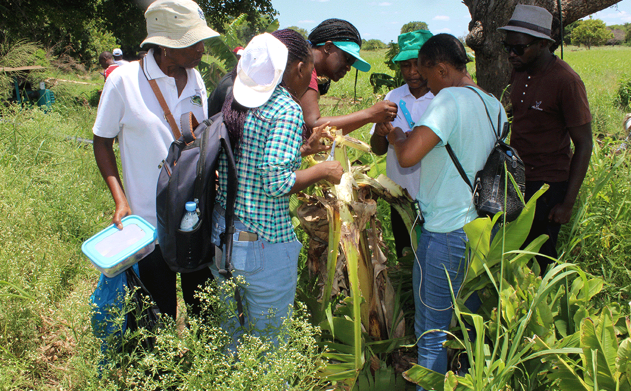 Field-Training-1