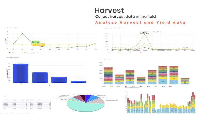 Harvest & Yield Analysis Harvest & Yield Analysis
