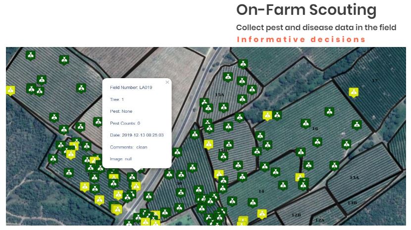 On Farm Scouting On Farm Scouting