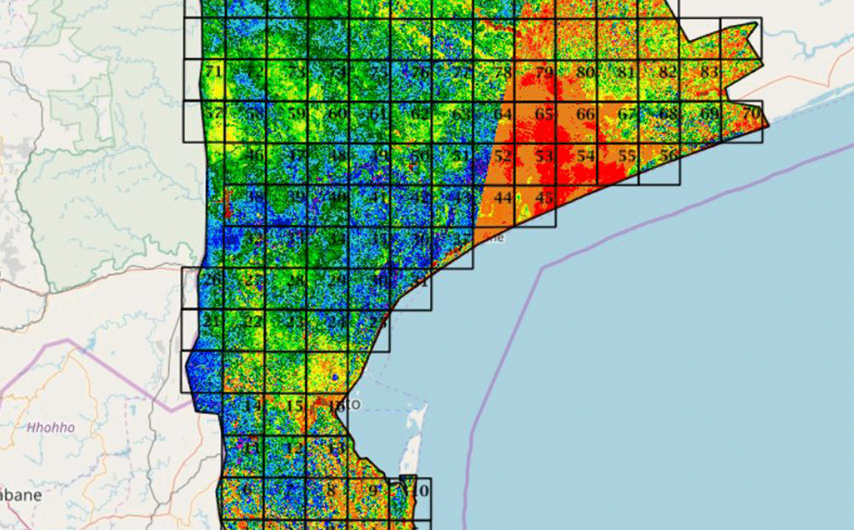 Survey-Grids